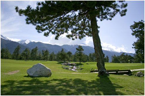 pirin golf ian