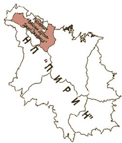 bayuvi dupki