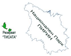 tisata